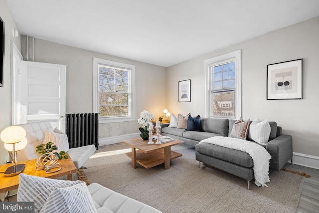 living room featuring radiator, baseboards, and wood finished floors