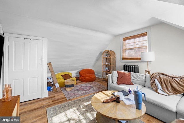 living room with lofted ceiling, wood finished floors, and radiator