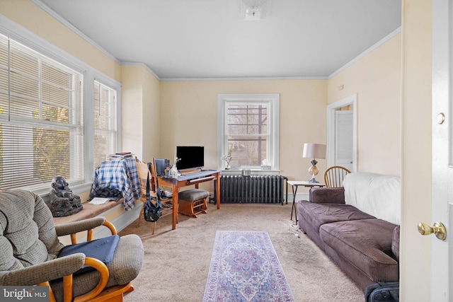 carpeted home office with ornamental molding, plenty of natural light, and radiator heating unit