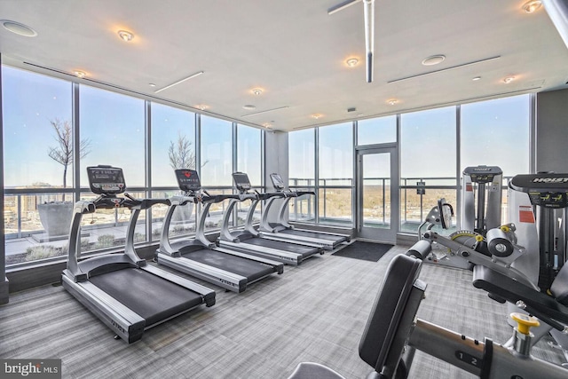 exercise room with a wall of windows, carpet flooring, and a wealth of natural light