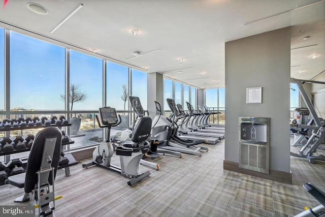 gym with carpet floors, a wealth of natural light, and floor to ceiling windows