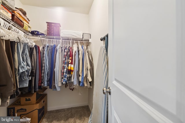 spacious closet with carpet flooring