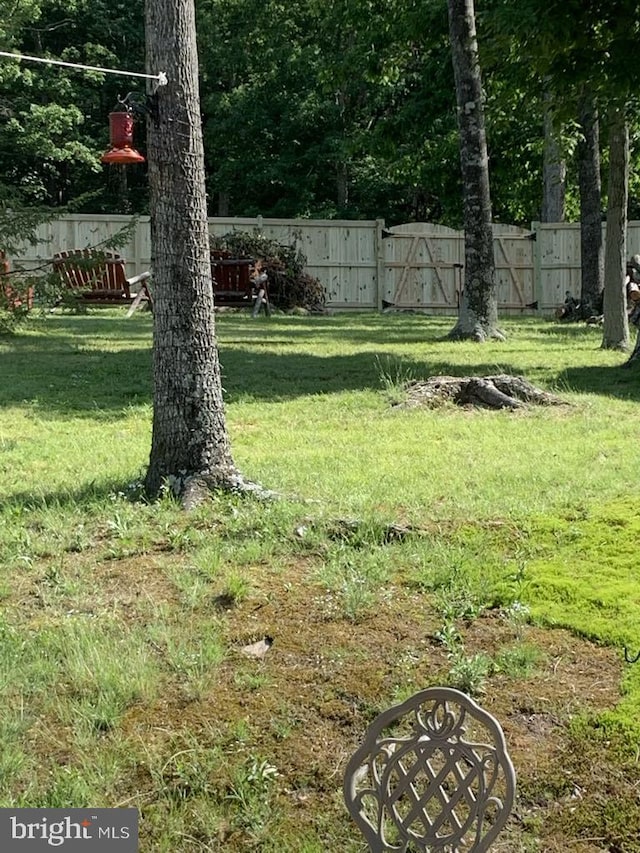 view of yard with a fenced backyard