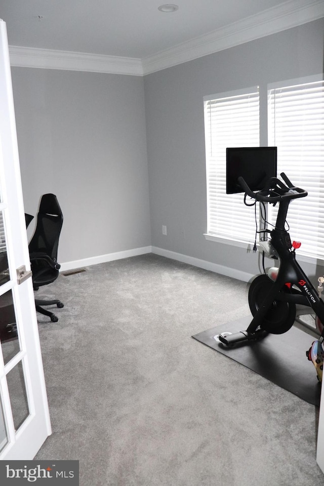210 Potomac Ridge Dr, Fort Washington, MD 20744 - workout area featuring carpet floors, visible vents, baseboards, and ornamental molding