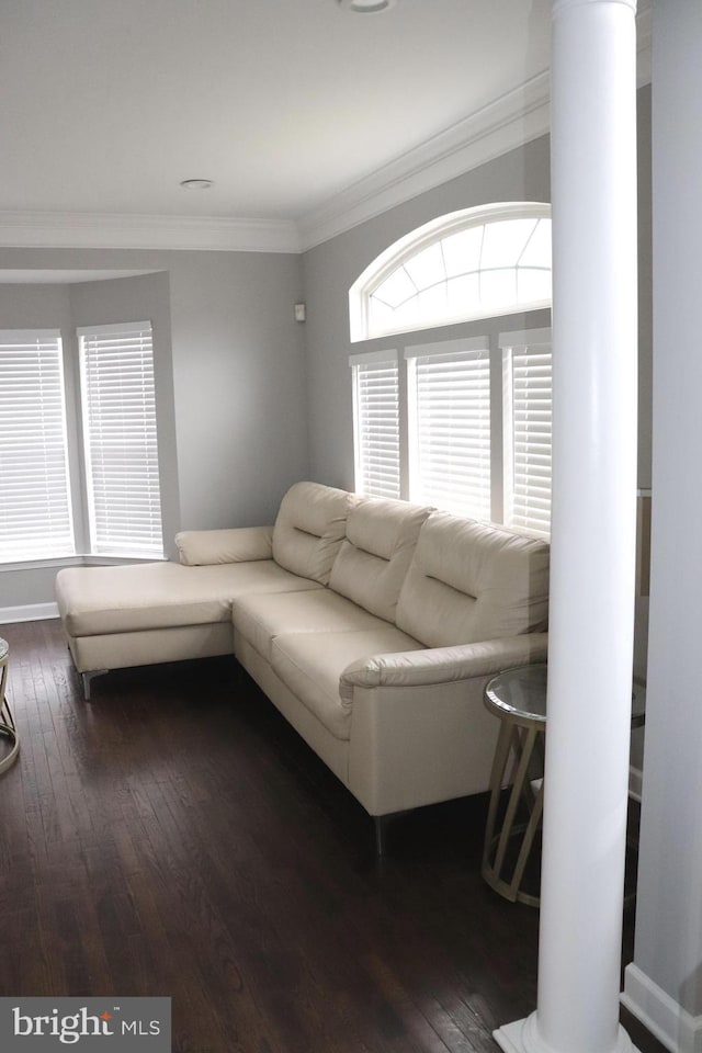 210 Potomac Ridge Dr, Fort Washington, MD 20744 - living room featuring dark wood-style flooring, decorative columns, and ornamental molding