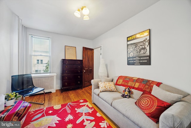 living area featuring wood finished floors