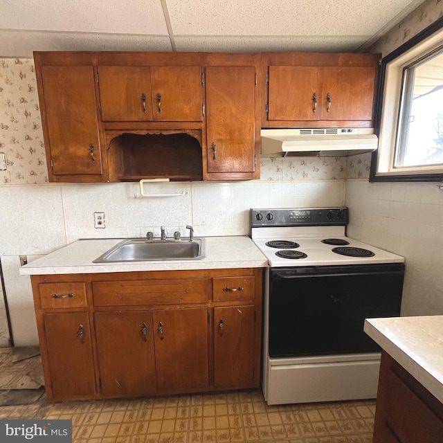 kitchen with a sink, under cabinet range hood, light countertops, and electric range oven