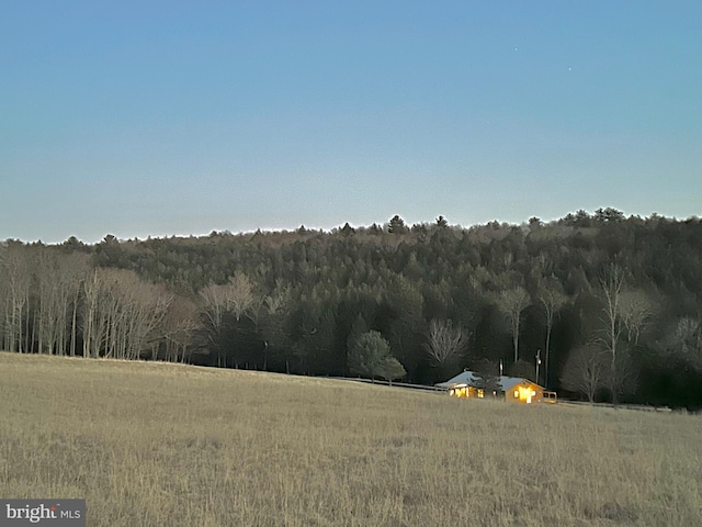 view of local wilderness featuring a forest view and a rural view