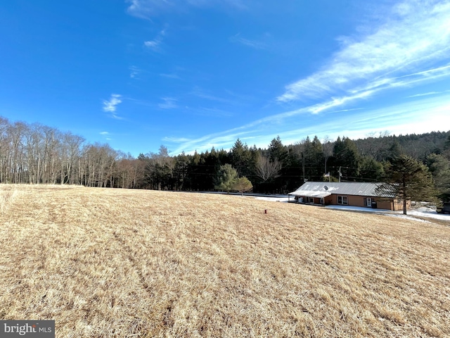 view of yard with a wooded view