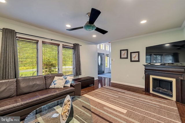 living area with baseboards, ornamental molding, wood finished floors, a fireplace, and recessed lighting