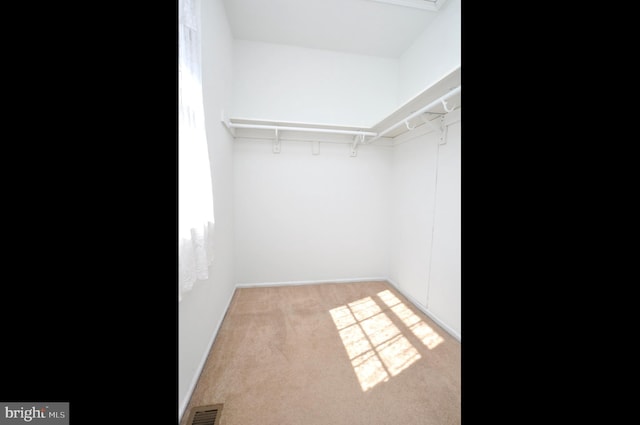 spacious closet with light carpet and visible vents