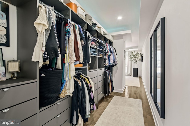 walk in closet featuring wood finished floors