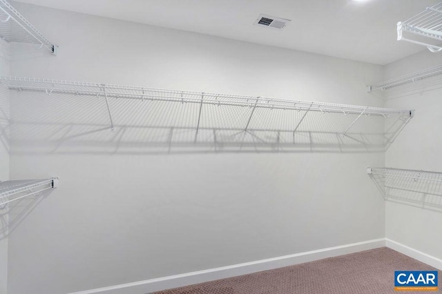 spacious closet featuring carpet flooring and visible vents