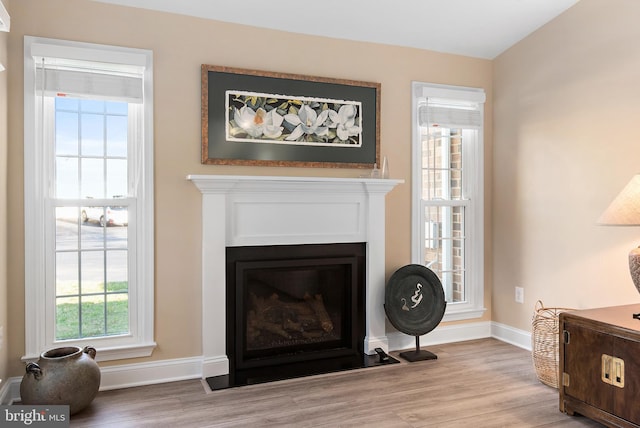 room details with a fireplace with flush hearth, baseboards, and wood finished floors