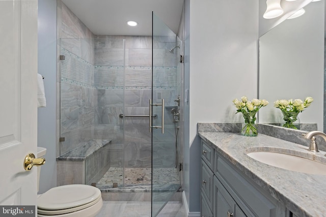 full bathroom featuring toilet, a shower stall, and vanity