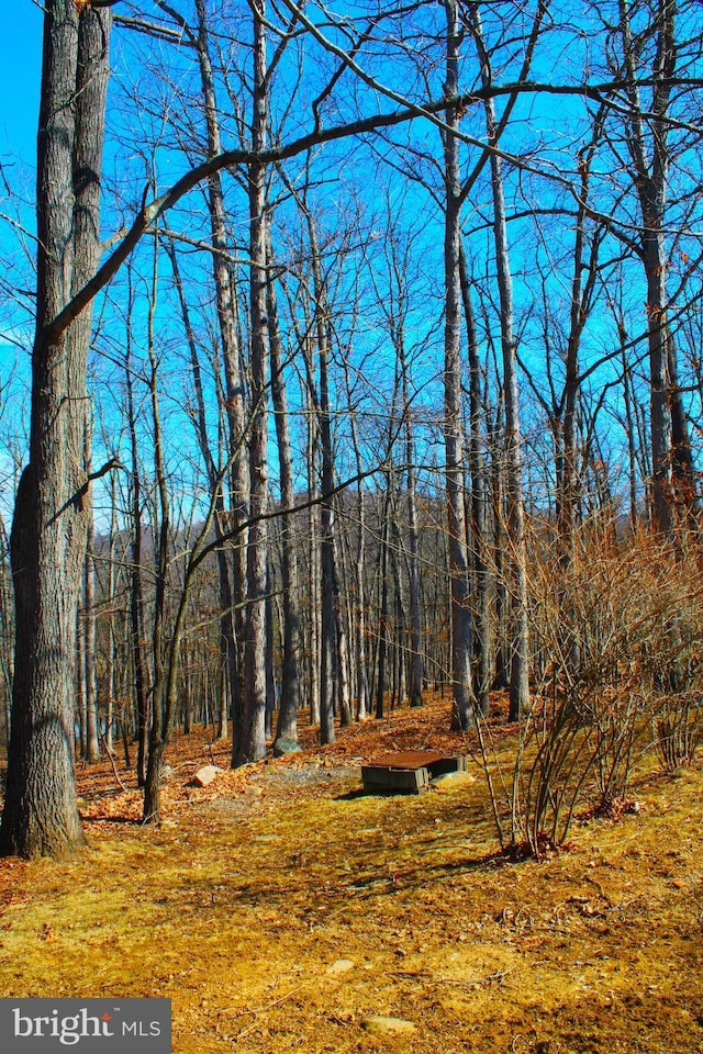 view of yard featuring a forest view