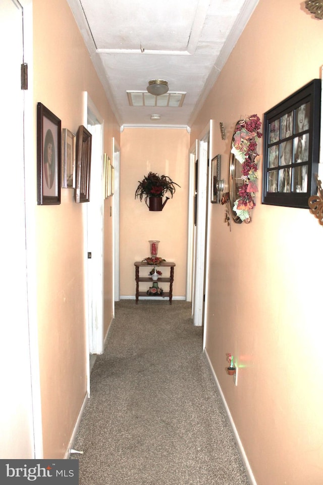 corridor featuring baseboards, visible vents, and carpet flooring