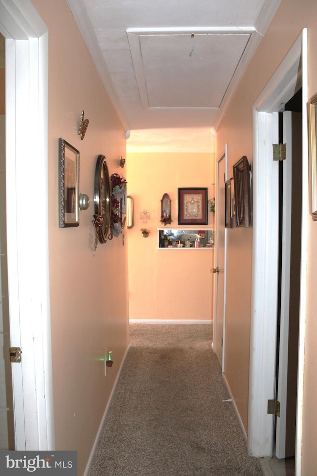 corridor with ornamental molding, carpet, attic access, and baseboards