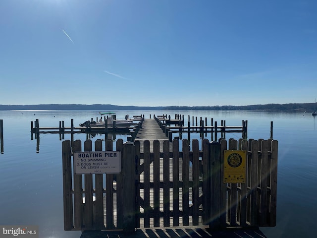 dock area with a water view