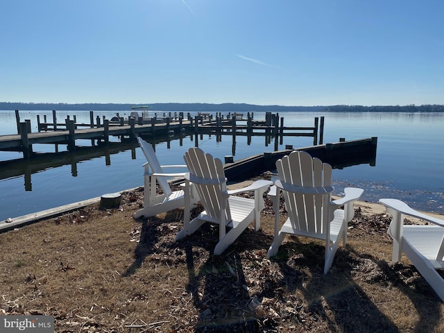 dock area with a water view