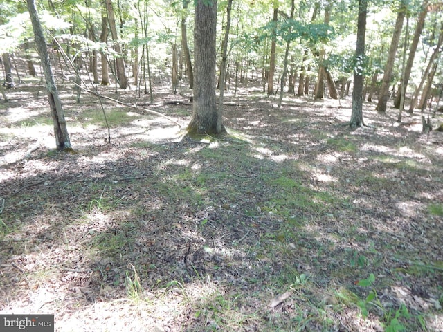 Greatwood Ct, Inwood WV, 25428 land for sale