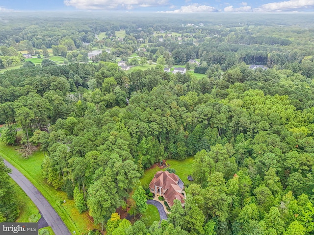 bird's eye view with a view of trees