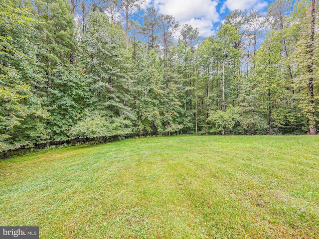 view of yard featuring a forest view