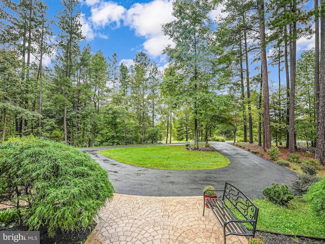 surrounding community featuring a yard and driveway