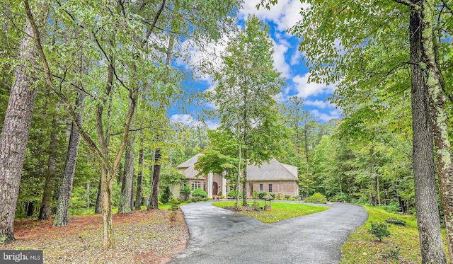 view of front of property with driveway and a wooded view