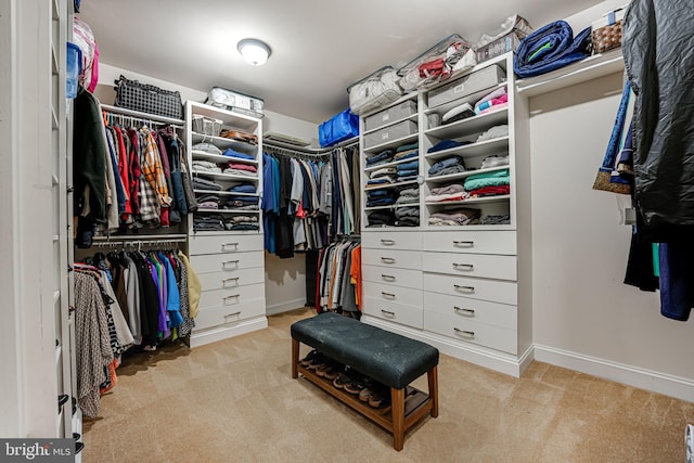 spacious closet with carpet