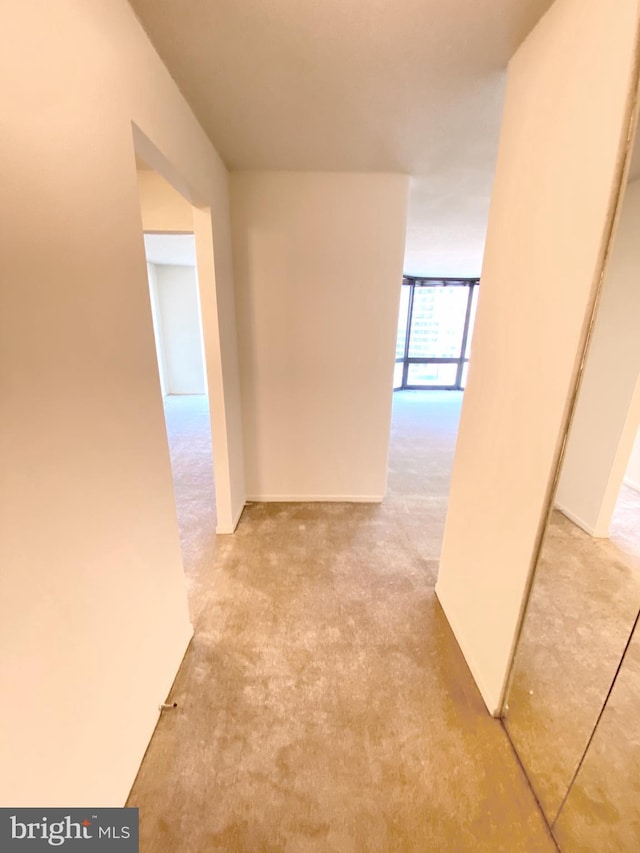 corridor featuring floor to ceiling windows and carpet flooring