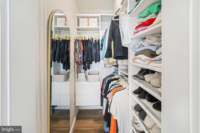 spacious closet with wood finished floors