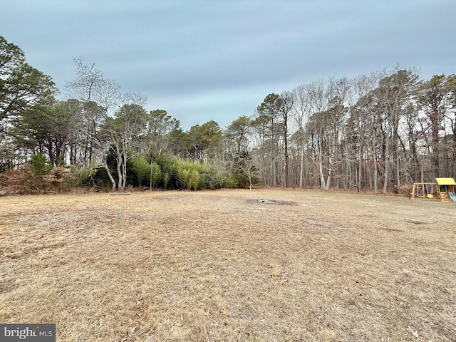 view of yard with a playground