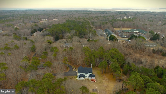 bird's eye view with a wooded view