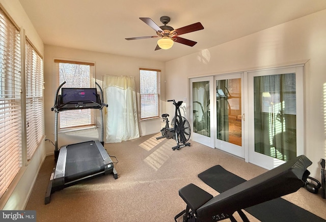 exercise area featuring ceiling fan and carpet flooring