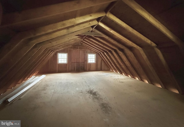 view of unfinished attic