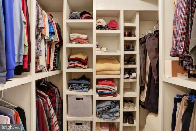 view of spacious closet