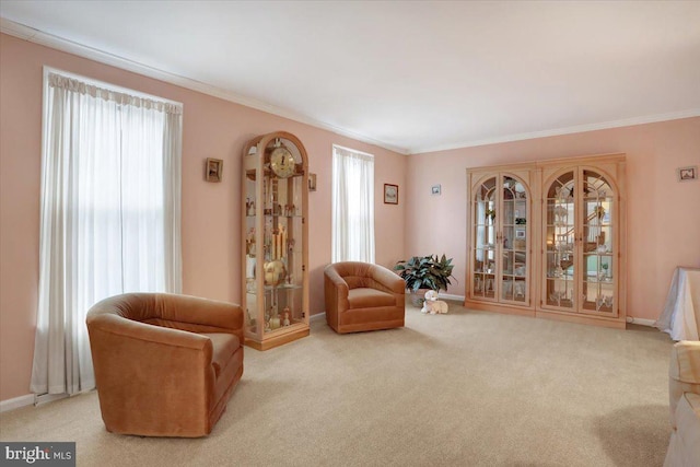 living area featuring carpet floors, baseboards, and crown molding