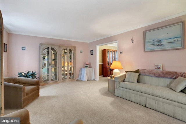 living area featuring carpet floors and crown molding