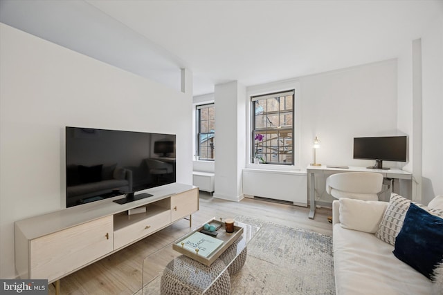 living room with wood finished floors