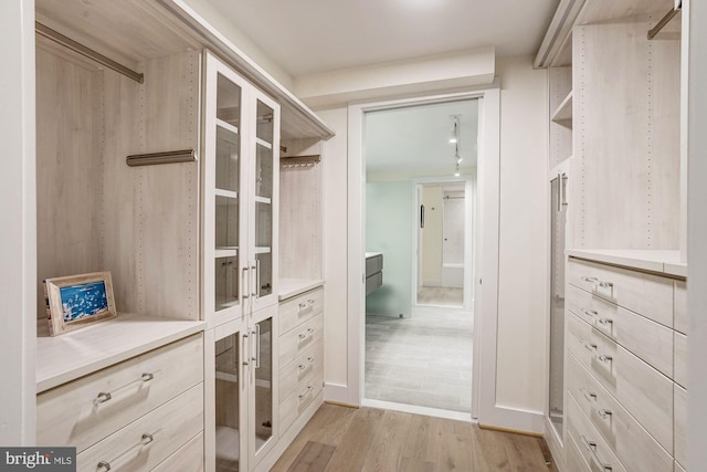 walk in closet featuring light wood-style flooring