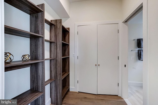 walk in closet with wood finished floors