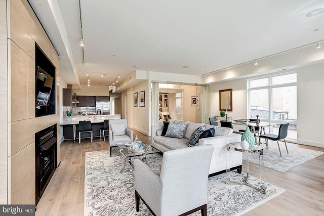 living area featuring light wood finished floors and rail lighting