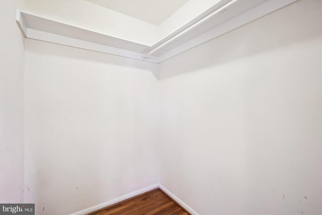 spacious closet with dark wood-type flooring