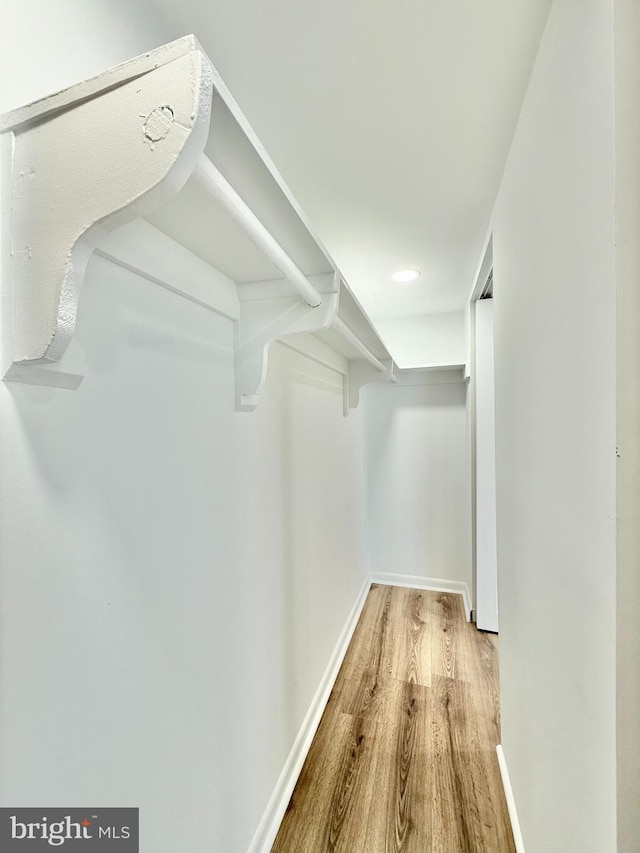 spacious closet featuring wood finished floors