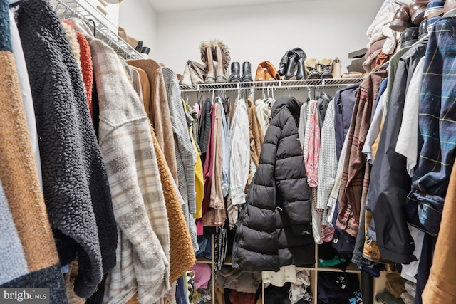 view of walk in closet