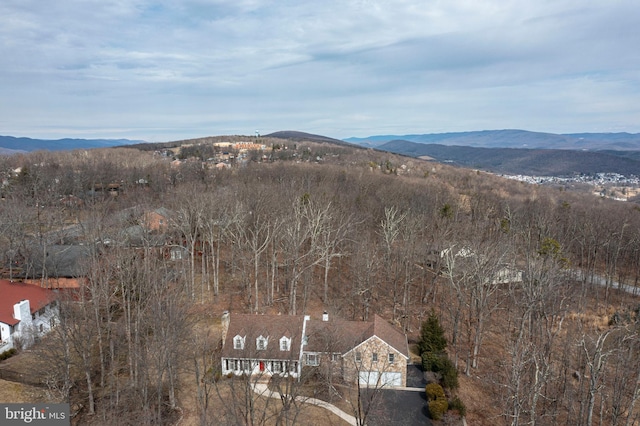 property view of mountains