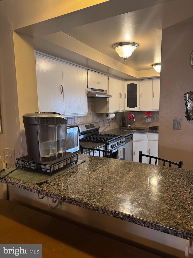 kitchen featuring backsplash, appliances with stainless steel finishes, white cabinets, a sink, and under cabinet range hood