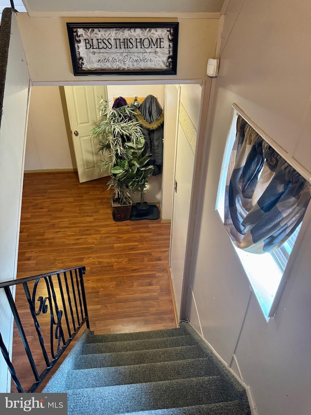 stairway featuring wood finished floors