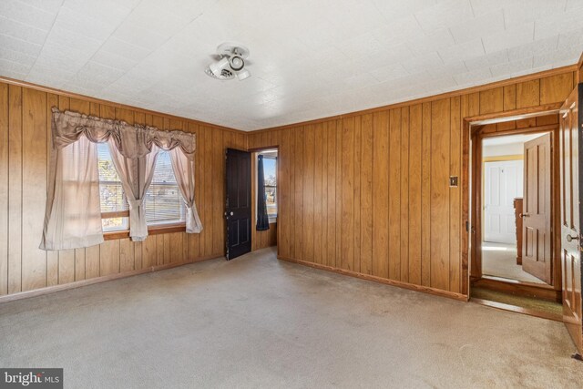 empty room featuring wood walls, carpet, and baseboards